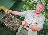 Včelař Jaromír Kratochvíl z Byšic si život bez včel nedokáže představit.
