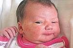 Julie Podaná se rodičům Kateřině Zikmundové a Martinu Podanému z Kralup nad Vltavou narodila 3. července 2011, vážila 3,50 kg a měřila 50 cm.