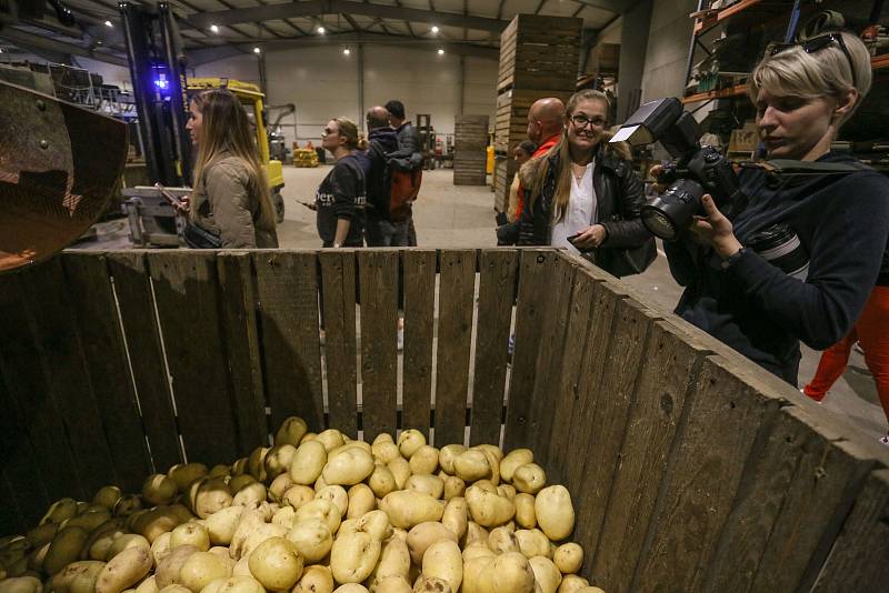Ze sběru a uskladnění pozdních brambor na farmě v Zálezlicích.