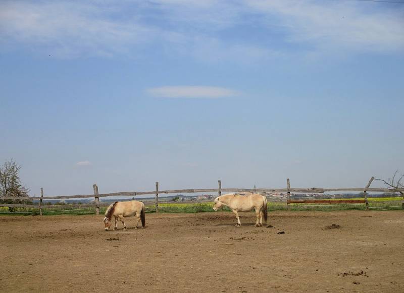 Zoopark Zelčín.