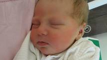 Jana Nedvědová se rodičům Janě a Antonínovi z Rakovníka narodila v neratovické porodnici 4. března 2014, vážila 3,31 kg a měřila 50 cm. Na sestřičku se těší 3,5letý Hynek.