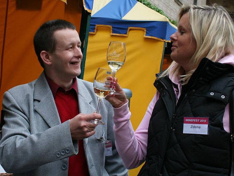 Mezinárodní přehlídka vín Winefest 2010 v Mělníku.