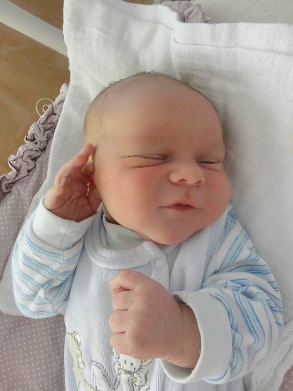 Jan Pavel ze Zelenče se v neratovické porodnici narodil 15. listopadu 2013, vážil 4,23 kg a měřil 52 cm.
