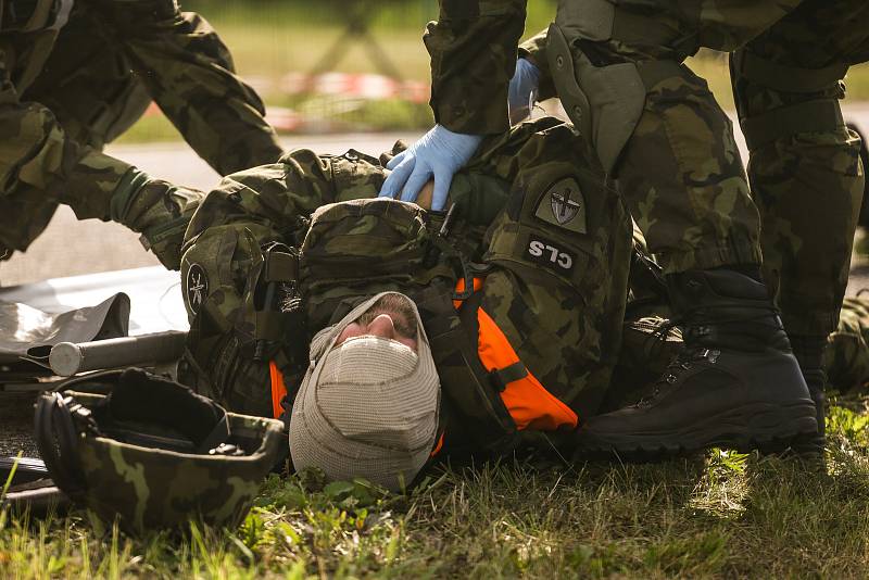 Z vojenského cvičení Safeguard v prostoru Centrálního tankoviště ropy Mero u Nelahozevsi.