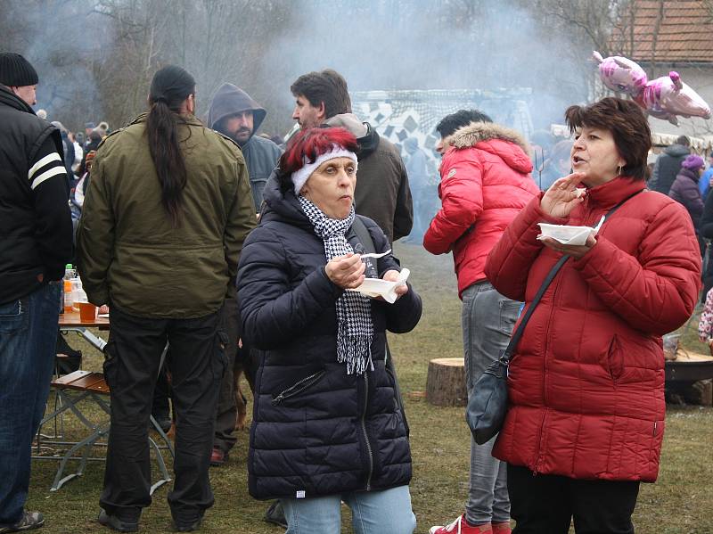 V areálu lobkovického zámku se o víkendu konal tradiční masopust, který pořádalo tamní občanské sdružení.