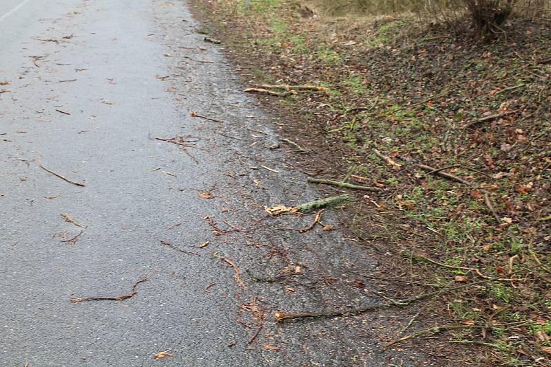 Pondělní vichřice za sebou zanechala popadané stromy také na silnici nedaleko Mšena směrem na Vrátno.