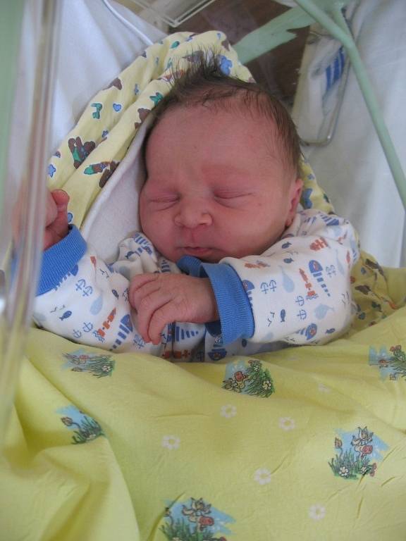 Vojtěch Kašpárek se rodičům Aleně a Pavlovi z Nelahozevsi narodil v mělnické porodnici 9. července 2014, vážil 3,25 kg a měřil 50 cm. Na brášku se těší 12letý Kuba.