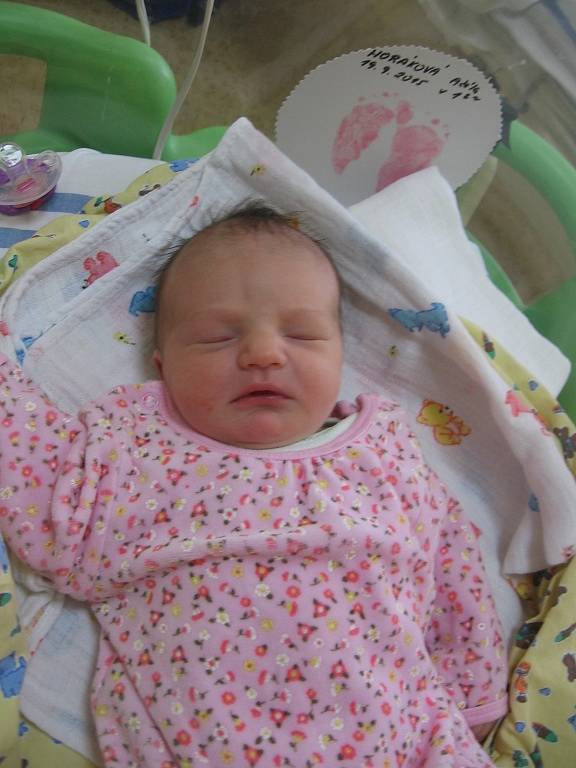 Adélka Horáková se rodičům Lucii Ilkové a Marku Horákovi z Mělníka narodila v mělnické porodnici 19. září 2015, vážila 3,02 kg a měřila 50 cm. Na sestřičku se těší 8letá Alexandra.