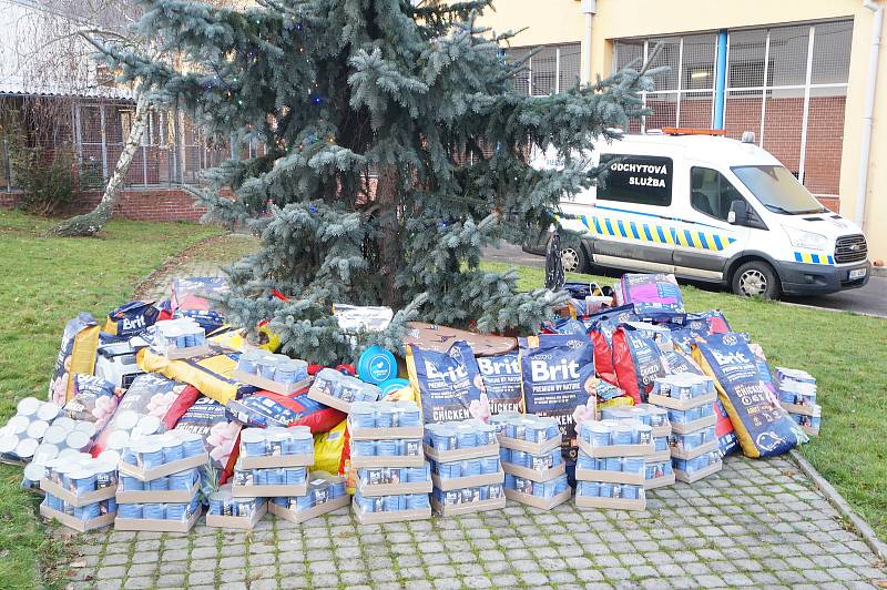 Zástupci Vafo přivezli psímu útulku, který v Troji provozuje Městská policie Praha, předčasný vánoční dárek. Spíš dar, když vážil přes tunu. Firma dodala více než 1100 kilogramů zvířecích granulí a konzerv.