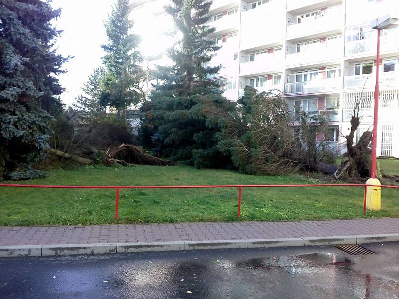 Na Kojetické v Neratovicích padly už tři stromy.