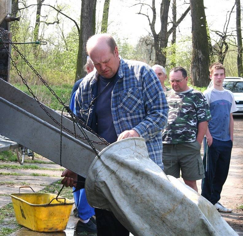 Mělničtí rybáři vysazovali do mlazických tůní ryby.