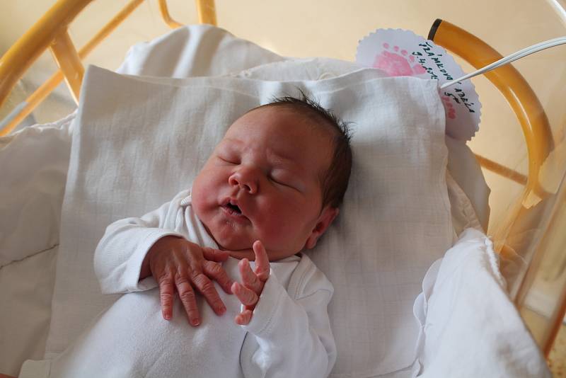 Adélka Šrámková, Mělník. Narodila se 9. 4. 2019, po porodu vážila 3670 g a měřila 51 cm. Rodiče jsou Andrea Šrámková a Michal Petržílek.
