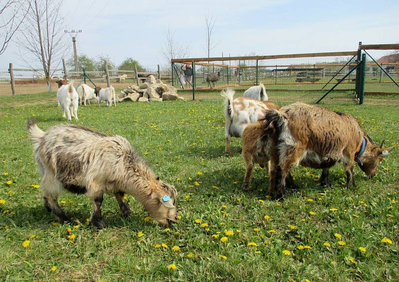 Zoopark Zelčín.