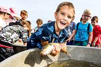 Rybáři pod dohledem dětí vysadili do Labe u Spolany půl tuny ryb.