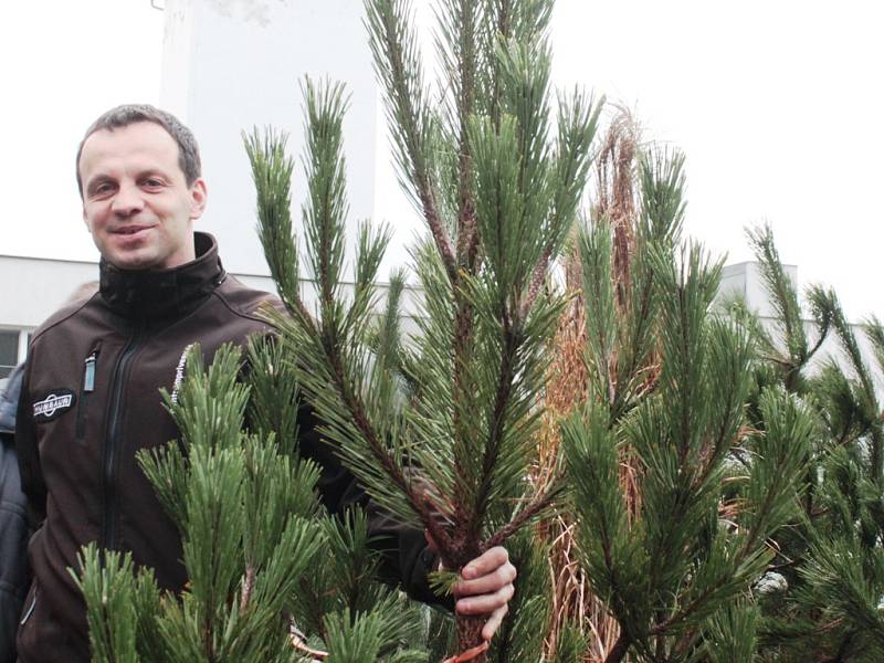 Jan Hartman prodává stromečky z vlastního lesa už dlouhá léta.