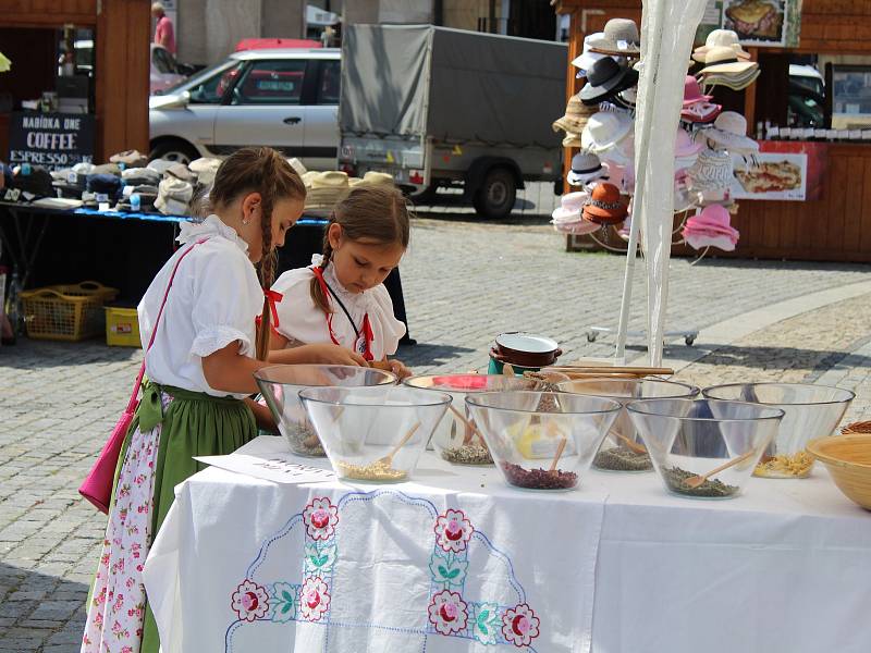 Svatoantonínský jarmark na mělnickém náměstí Míru přilákal v sobotu nejen místní, ale dokonce i turisty ze zahraničí.