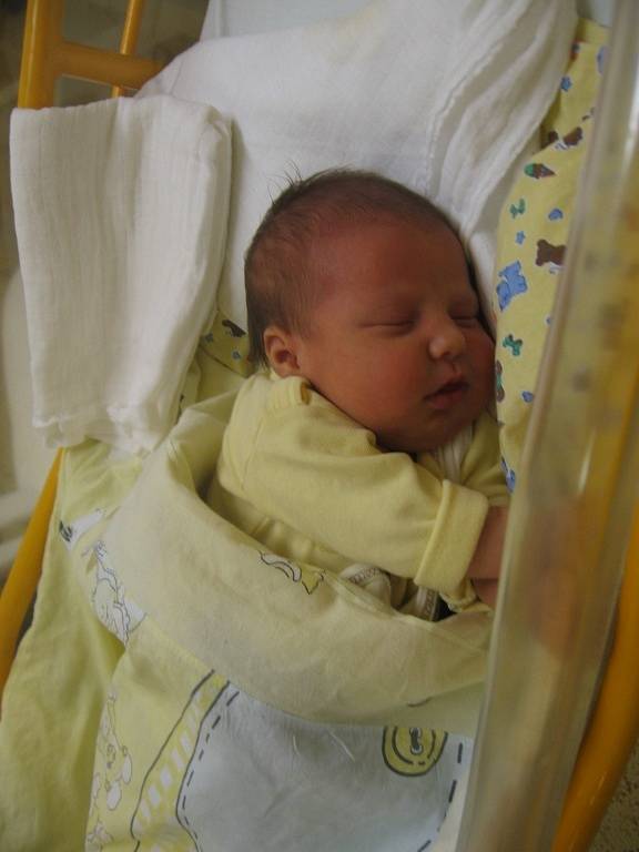 Amelia Pinarcioglu se rodičům Kristýně a Fatihovi z Prahy narodila v mělnické porodnici 9. dubna 2014, vážila 3,83 kg a měřila 50 cm.