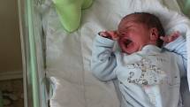 Adam Miletín, Velký BorekNarodil se 19. 6. 2019, po porodu vážil 2920 g a měřila 49 cm. Rodiče jsou Michal a Eva Miletínovi.