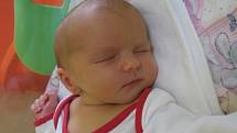 Jan Žitník se rodičům Michaele Rosenbergové a Janu Žitníkovi z Mělníka narodil v mělnické porodnici 3. července 2014, vážil 3,13 kg a měřil 47 cm.
