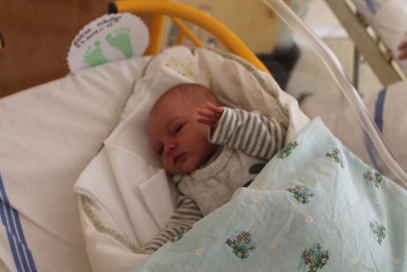 Sebastian Bárta, Losiny. Narodil se 9. 4. 2019 Tereze Bártové, po porodu vážil 3140 g a měřil 49 cm.