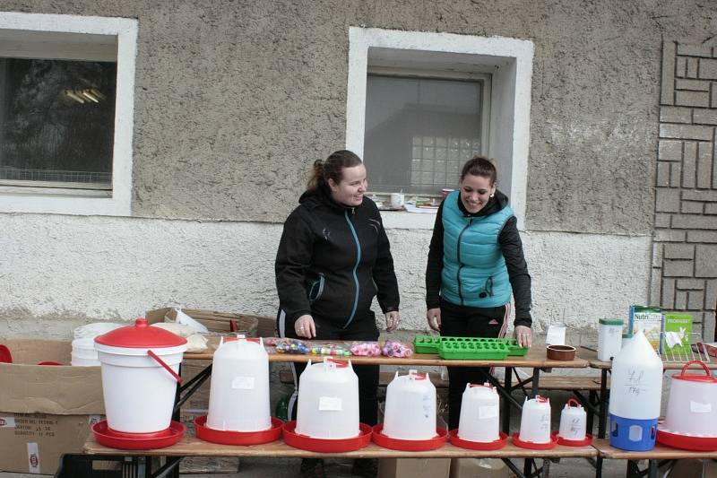 Ve vnitřních prostorách kromě exponátů králíků, slepic, krůt, hus, které děti obdivovaly, bylo připraveno i malování na obličej. Na krásné malůvky šikovné paní čekaly děti trpělivě ve frontě.