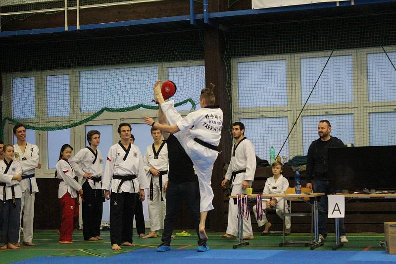 Mělnický klub Taekwondo Hansoo letos pořádal ve sportovní hale Bios už devatenáctý ročník tradičního Hansoo Cupu.