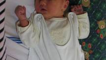 Emma Dorňáková se rodičům Ivetě Löblové a Miroslavu Dorňákovi z Nedomic narodila v mělnické porodnici 20. prosince 2013, vážila 3,40 kg a měřila 50 cm.