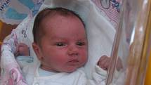 Jan Šafrata se rodičům Andree a Janovi z Mělníka narodil v mělnické porodnici 4. února 2014, vážil 3,63 kg a měřil 51 cm.