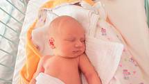 Maxim Skopal se rodičům z Prahy narodil v neratovické porodnici 5. srpna 2016, vážil 3,36 kg a měřil 51 cm.