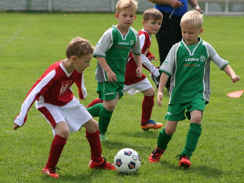 OP minipřípravek: Sokol Tišice - Botafogo Mělník (v červeném)