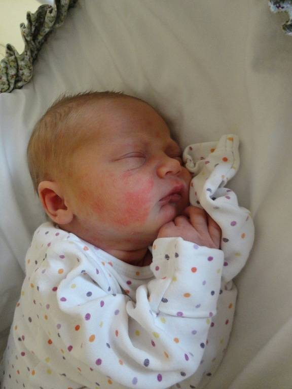 Elina Bystrakova se rodičům Ině a Victorovi z Prahy narodila v neratovické porodnici 23. června 2013, vážila 3,26 kg a měřila 50 cm. Na sestřičku se těší 8letý Roman.