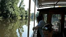 Výletní loď Fidelio brázdí Labe na Mělníku od května do konce září, a to od čtvrtka do neděle. Vyhlídkové plavby poskytují zájemcům nevšední zážitek.