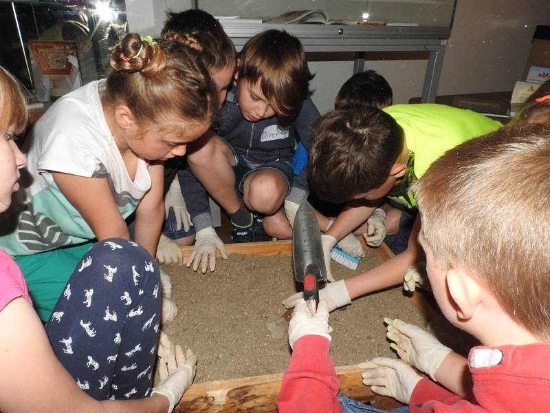 Týdenní projekt Den s archeoložkou Alenou Veselou a muzejní pedagožkou začal v mělnickém muzeu tento týden. Mezi prvními začínajícími archeology byli třeťáci z mělnické základní školy v Jungmannových sadech.