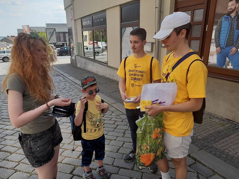 Květinový den v Mělníku. Studenti gymnázia Jana Palacha v ulicích města prodávali kytičku měsíčku lékařského za symbolických dvacet korun.
