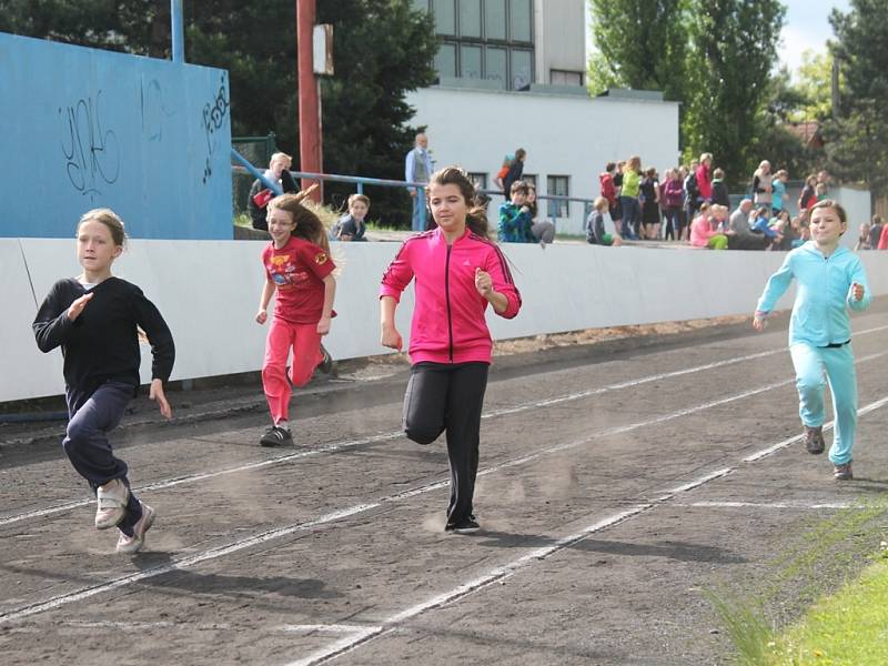 Odznak všestrannosti olympijských vítězů 2014.