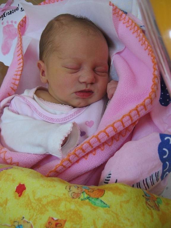 Sára Jindřichová se rodičům Romaně a Martinovi ze Štětí narodila v mělnické porodnici 9. března 2013, vážila 3,28 kg a měřila 49 cm.
