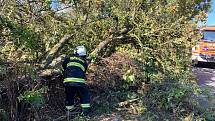 Kvůli větrné bouři Mortimer vyjely jednotky HZS Mělník a SDH Všetaty k padlému stromu na vozovku mezi obcemi Byšice a Přívory. Hasiči strom rozřezali motorovou pilou.