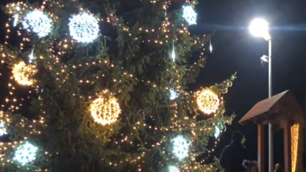 VIDEO: V Kralupech nad Vltavou rozsvítili vánoční strom on-line - Mělnický  deník