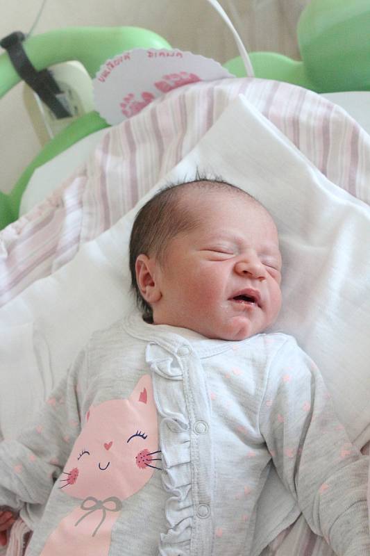 Diana Uhlířová se rodičům Lence a Martinovi z Brandýsa nad Labem narodila 9. května 2018 v mělnické porodnici, měřila 48 cm a vážila 2,99 kg. Doma se na ni těší 7letý Adam.