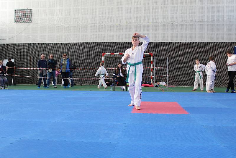 Na domácí turnaj mělnických taekwondistů dorazily téměř dvě stovky závodníků z celého Česka. Mělnický tým nakonec skončil na skvělém čtvrtém místě. V turnaji skills, ve kterém reprezentovali vždy tři bojovníci z každého týmu, skončilo mělnické Hansoo na z