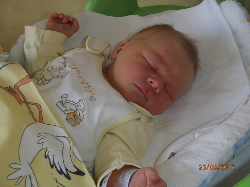 Bohumil Patka se rodičům Pavle Liksomrové a Bohumilu Patkovi z Mělník narodil 24. června 2012, vážil 3,90 kg a měřil 51 cm.