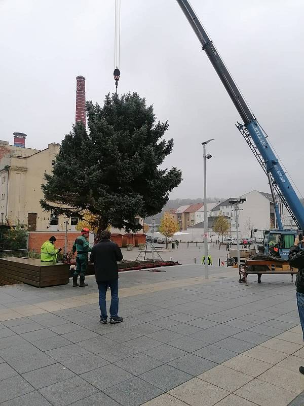 Instalace vánočního stromu v Kralupech nad Vltavou. Foto: David Jírový.