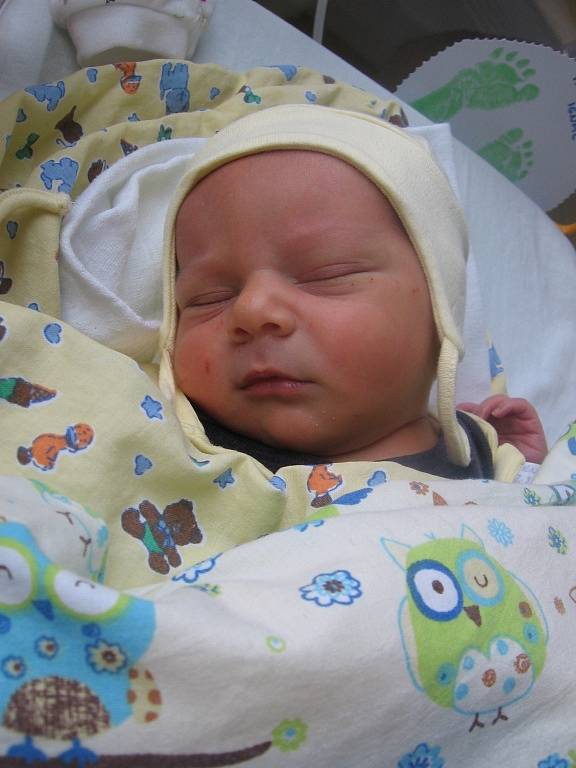 Ignác Tancibudek se rodičům Renatě a Lukášovi z Kostelce nad Labem narodil v mělnické porodnici 22. března 2016, vážil 3,10 kg a měřil 50 cm.