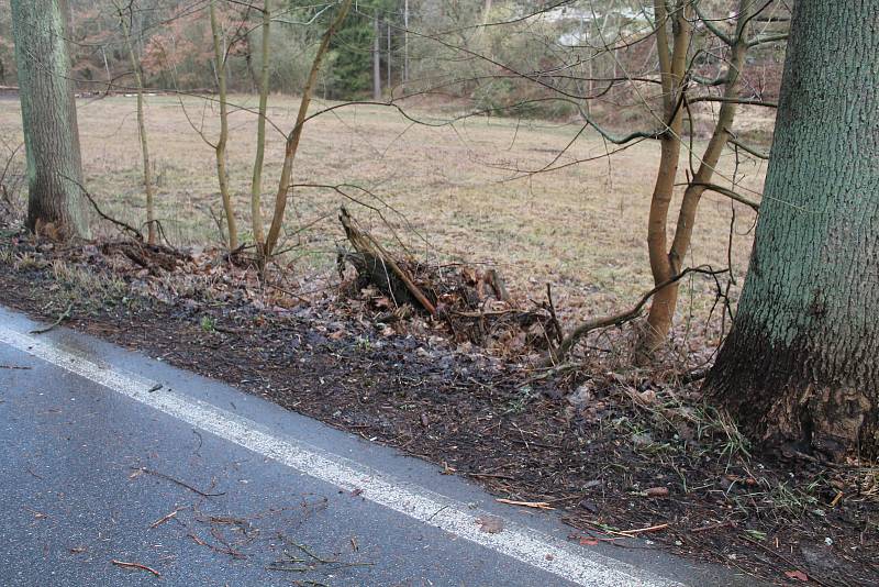 Pondělní vichřice za sebou zanechala popadané stromy také na silnici nedaleko Mšena směrem na Vrátno.