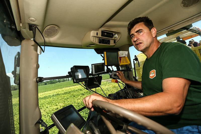 Zahájení sklizně velmi raných brambor představila v pondělí na farmě v Zálezlicích na Mělnicku pěstitelská společnost Hanka Mochov.