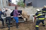 Hasiči pomáhali koni, který se zasekl nohou za hrazení jízdárny.
