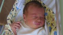 Elena Milerová se rodičům Heleně Haklové a Davidu Milerovi z Neratovic narodila v mělnické porodnici 10. června 2013, vážila 3,16 kg a měřila 50 cm.
