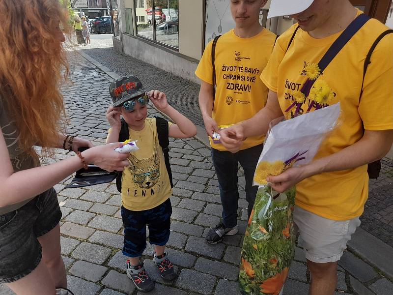 Květinový den v Mělníku. Studenti gymnázia Jana Palacha v ulicích města prodávali kytičku měsíčku lékařského za symbolických dvacet korun.
