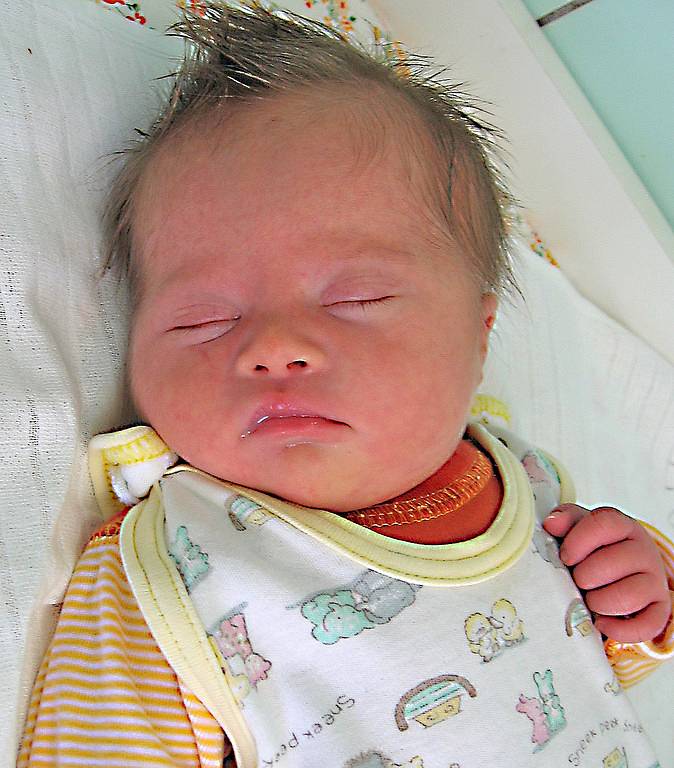 Tereza Čížková se rodičům Petře a Michalovi z Mělníka narodila 11. dubna 2009, vážila 3,10 kg a měřila 48 cm. Na sestřičku se těší 15letá Nikolka.