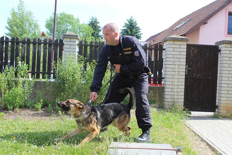 Policejní psovodi předváděli umění služebních psů na Základní škole v Lužci nad Vltavou.